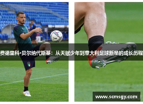 费德里科·贝尔纳代斯基：从天赋少年到意大利足球新星的成长历程