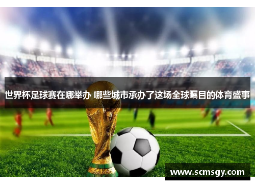 世界杯足球赛在哪举办 哪些城市承办了这场全球瞩目的体育盛事