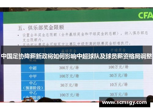 中国足协降薪新政将如何影响中超球队及球员薪资格局调整 中国足协降薪新政将如何影响中超球队及球员薪资格局调整
