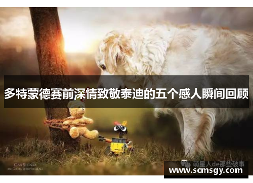 多特蒙德赛前深情致敬泰迪的五个感人瞬间回顾 多特蒙德赛前深情致敬泰迪的五个感人瞬间回顾