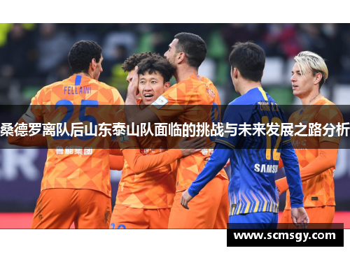 桑德罗离队后山东泰山队面临的挑战与未来发展之路分析