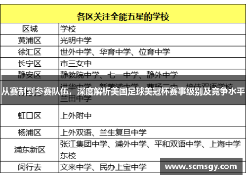 从赛制到参赛队伍，深度解析美国足球美冠杯赛事级别及竞争水平