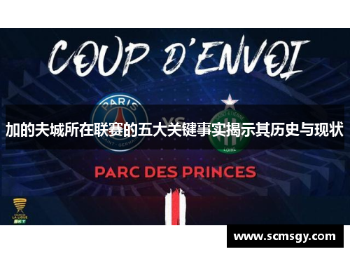 加的夫城所在联赛的五大关键事实揭示其历史与现状